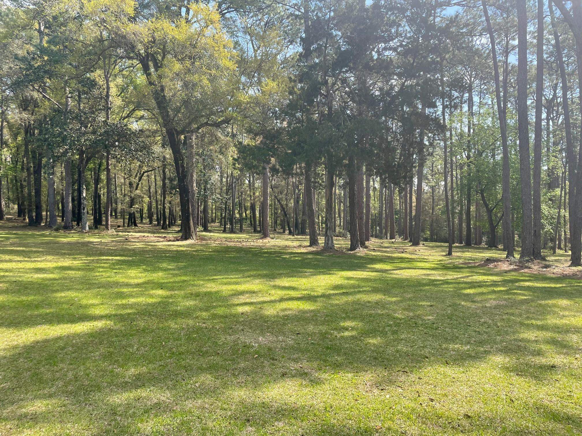 7935 Parker Road Fairhope, AL 36532 - Photo 3 of 13