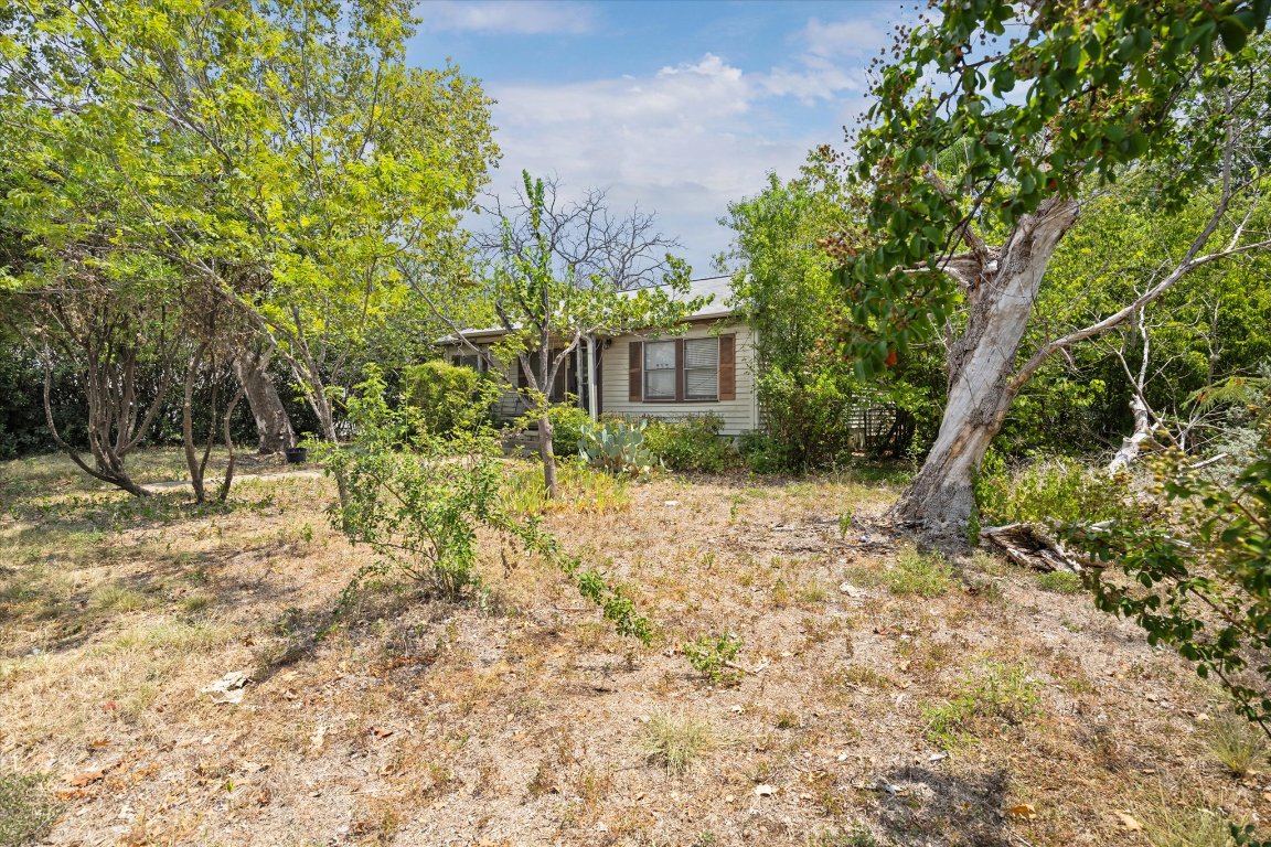 4415 Jester Drive Austin, TX 78745 - Photo 3 of 9 a view of backyard of house