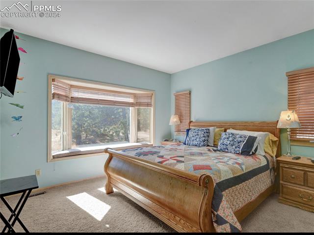 4955 Dodd Road Cascade, CO 80809 - Photo 23 of 45 Bedroom featuring light colored carpet