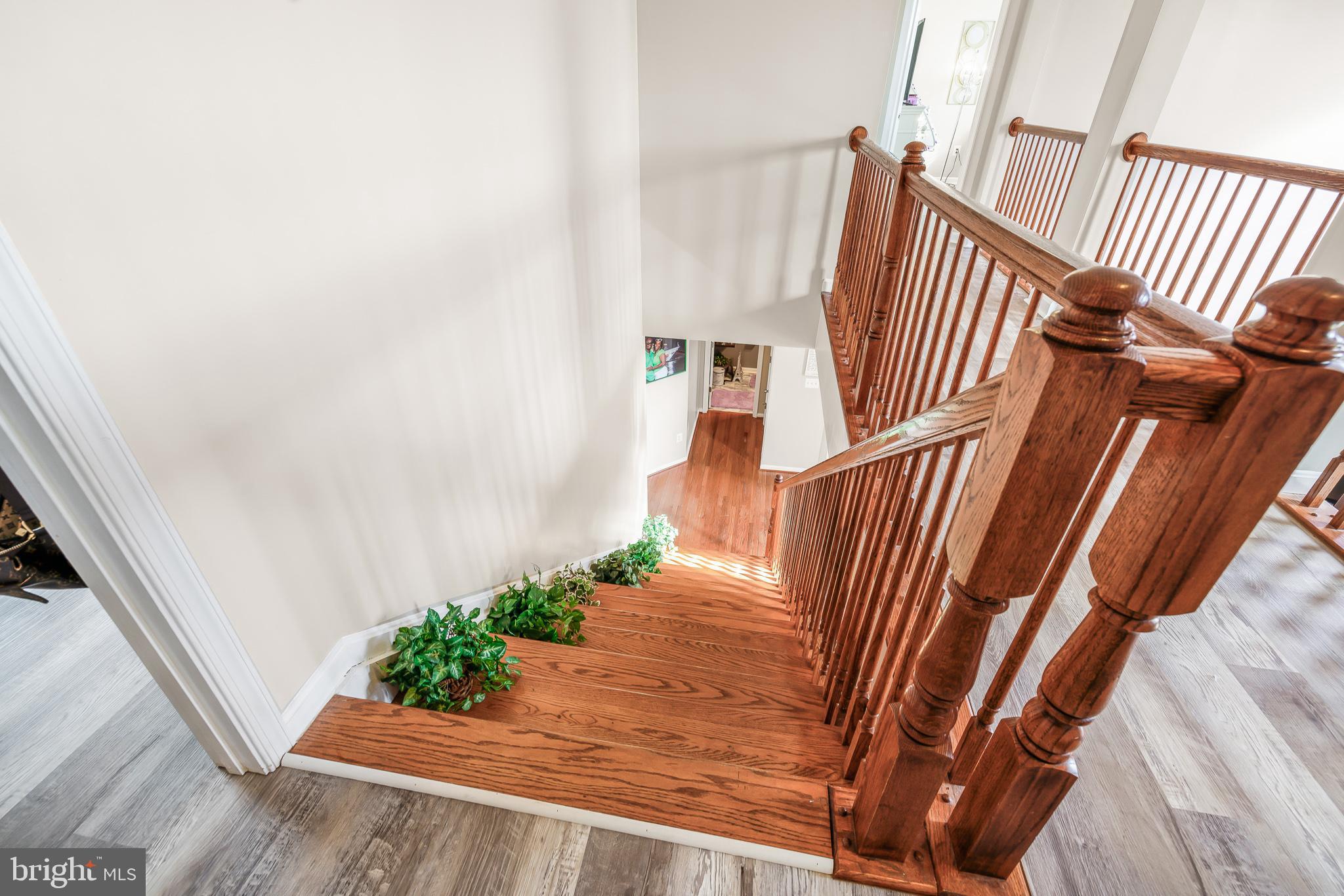 351 Windrow Way Magnolia, DE 19962 - Photo 23 of 59