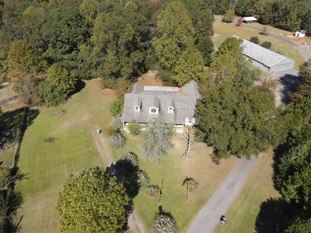 895 Sipsey Road Jasper, AL 35504 - Photo 12 of 47 Gallery Image 12