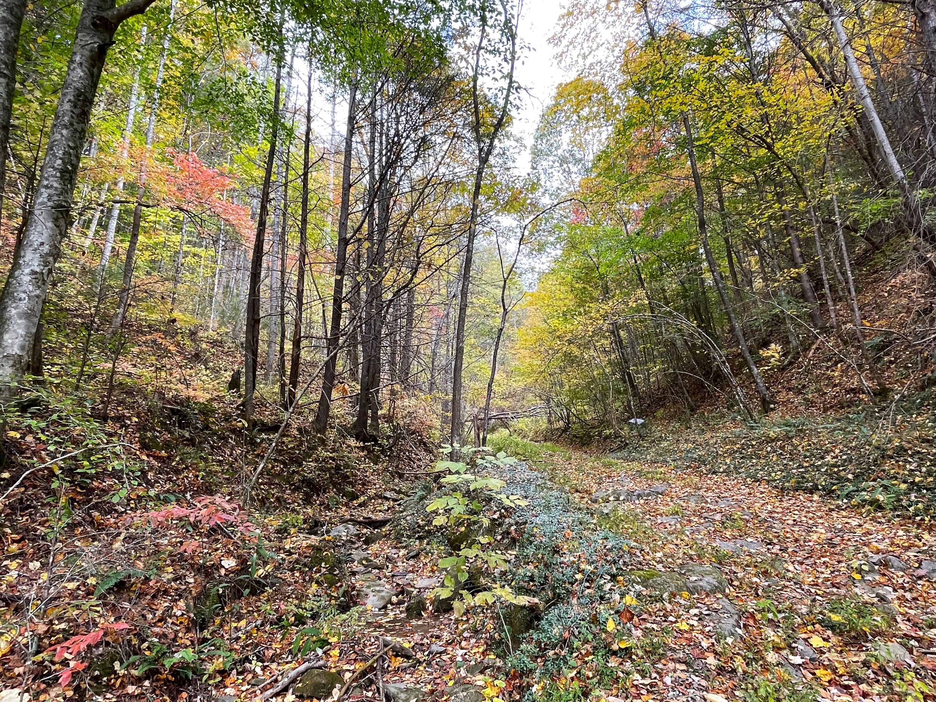Lot 32 Grindstaff Road, Unit 32 Hartford, TN 37753 - Photo 12 of 17 12