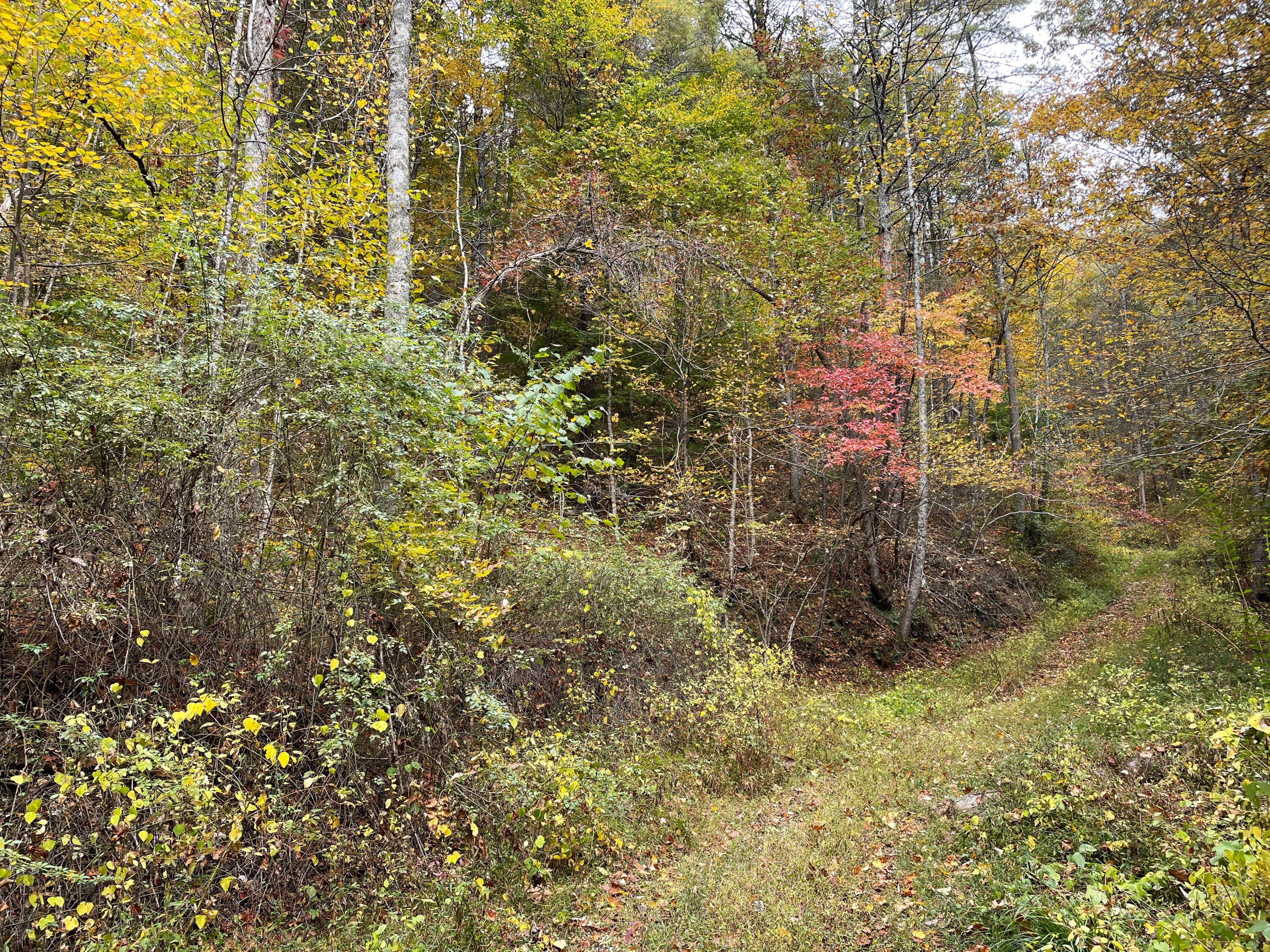 Lot 32 Grindstaff Road, Unit 32 Hartford, TN 37753 - Photo 13 of 17 13