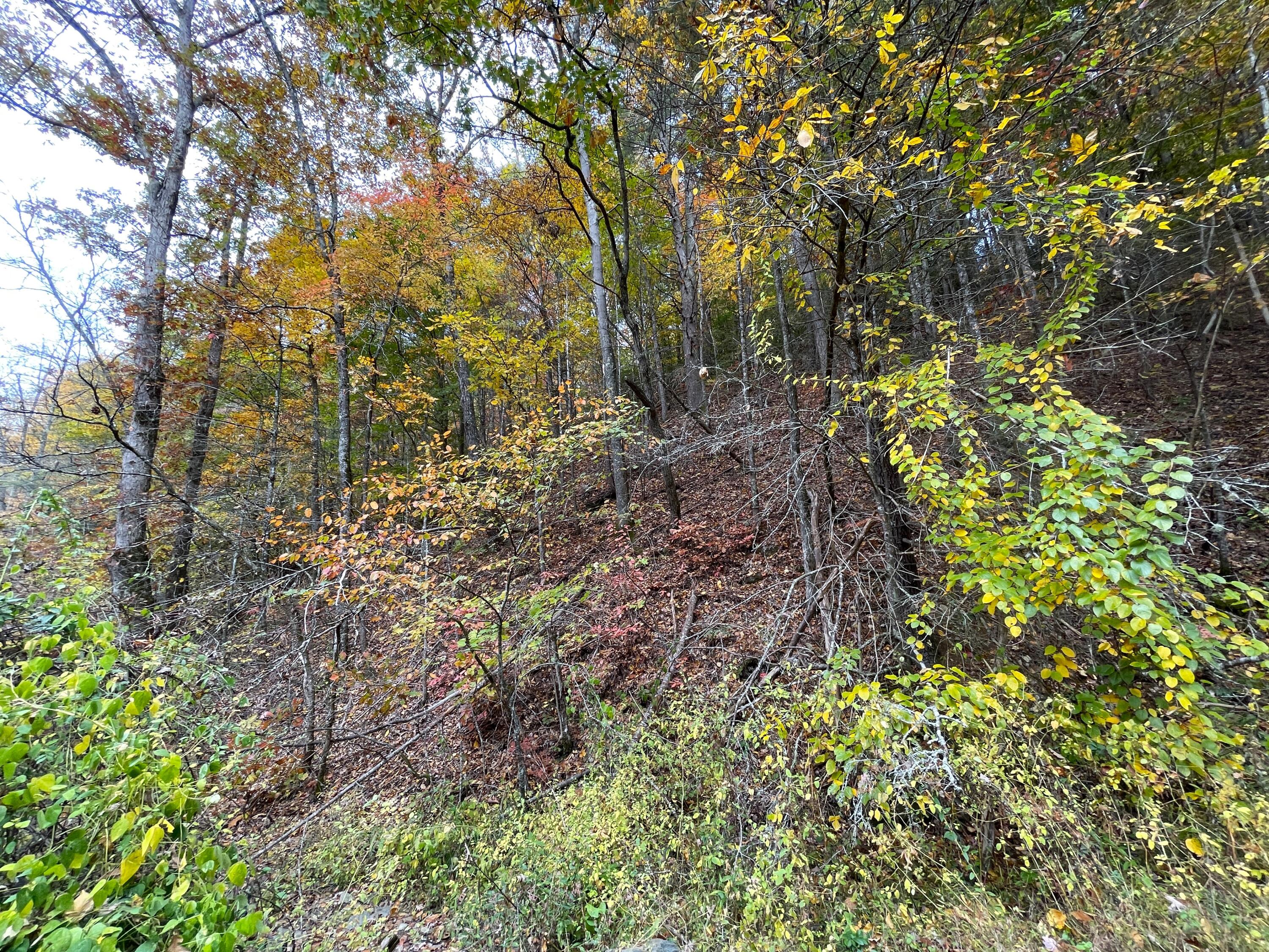 Lot 32 Grindstaff Road, Unit 32 Hartford, TN 37753 - Photo 17 of 17 17