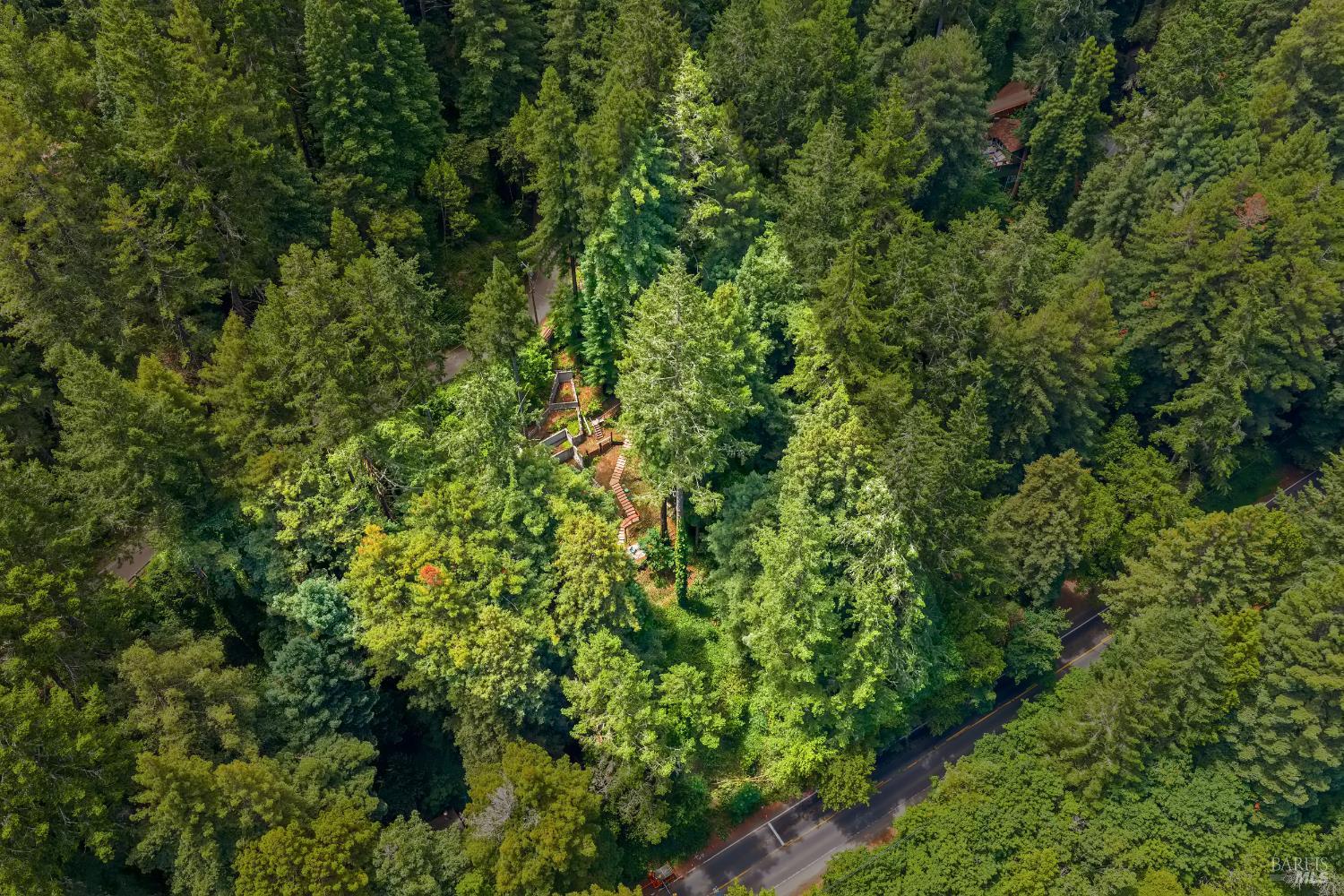 18475 Old Monte Rio Road Guerneville, CA 95446 - Photo 48 of 64 Buyer to verify exact property lines