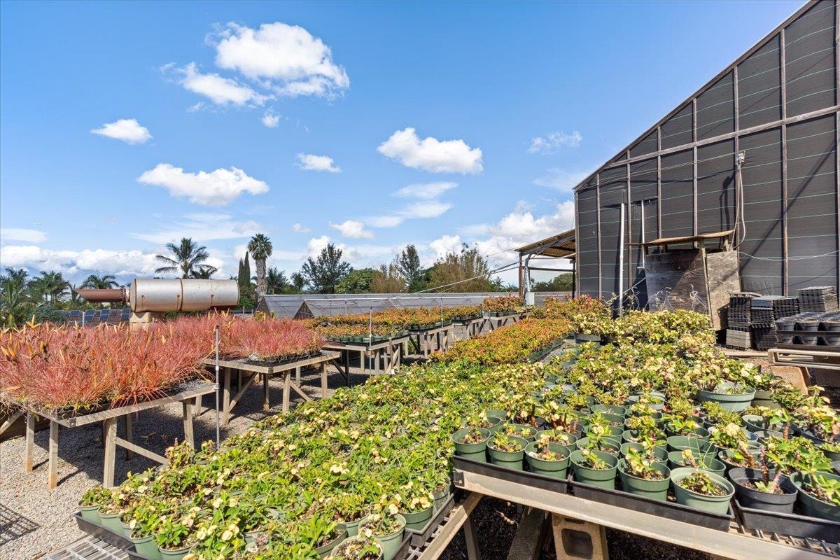 248 Piliwale Road Kula, HI 96790 - Photo 12 of 22 a view of a chairs and table in the patio