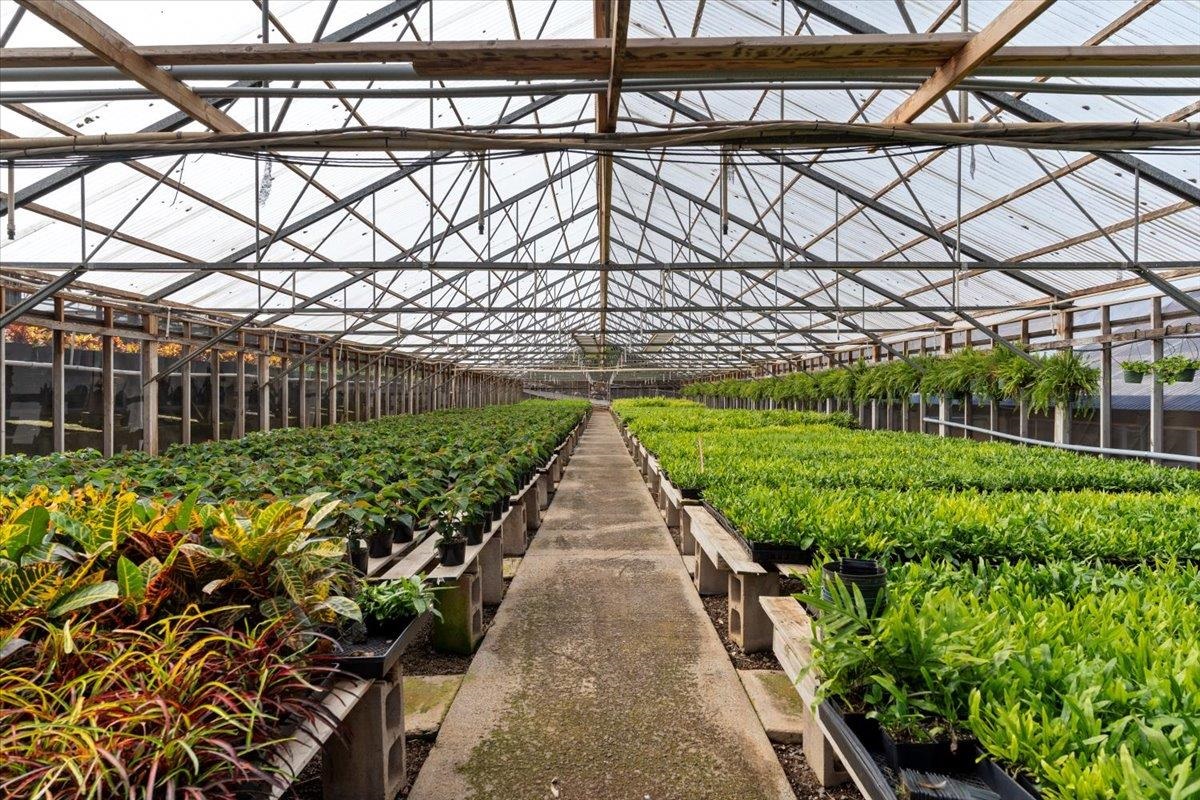 248 Piliwale Road Kula, HI 96790 - Photo 20 of 22 a view of a pathway with a yard