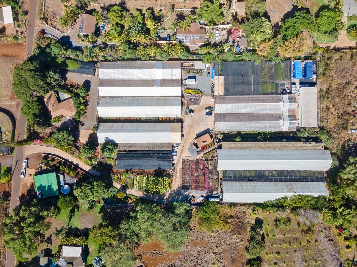 248 Piliwale Road Kula, HI 96790 - Photo 2 of 22 a view of statue in the garden