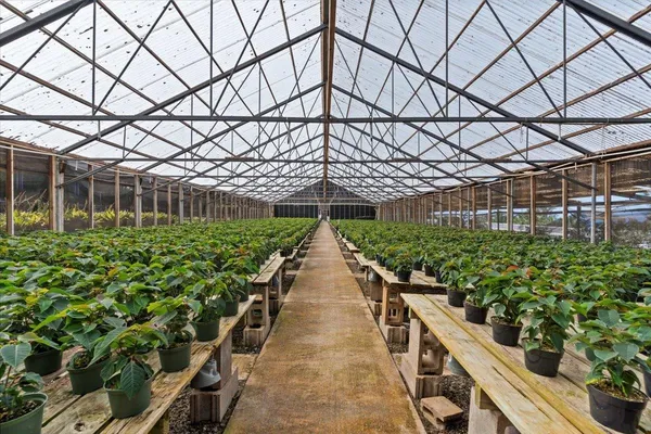 a view of a pathway in a garden