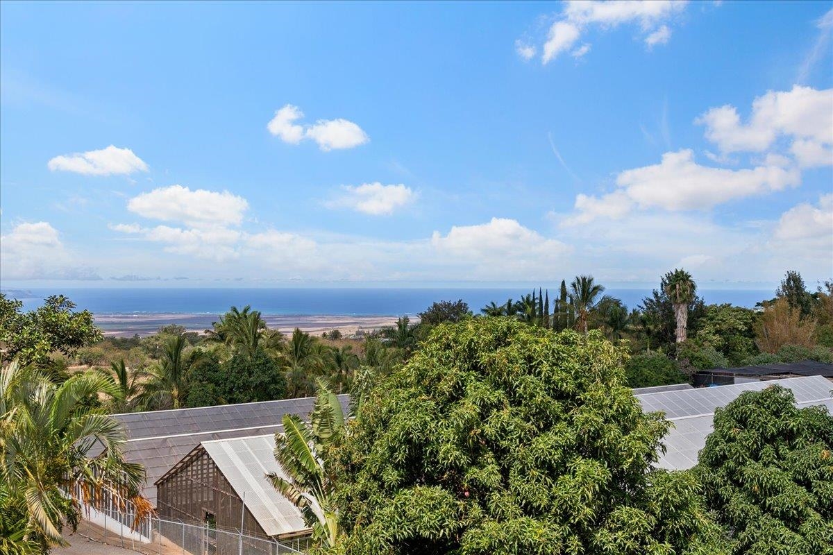 248 Piliwale Road Kula, HI 96790 - Photo 4 of 22 a view of a city with flower in it