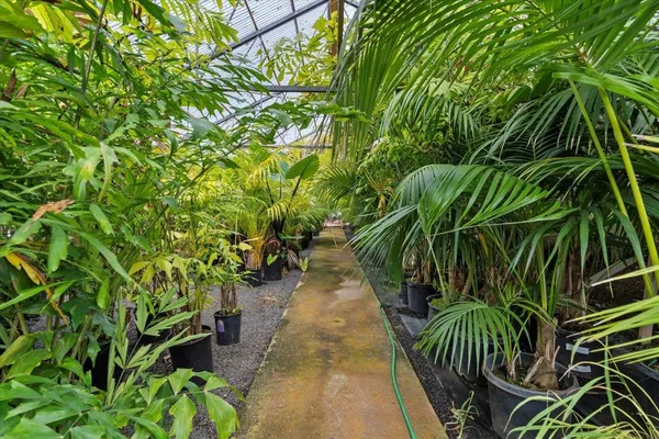 a view of a yard