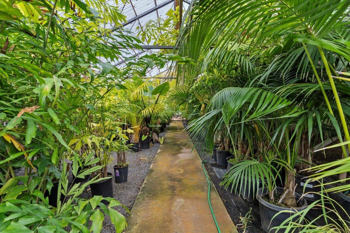 248 Piliwale Road Kula, HI 96790 - Photo 7 of 22 a view of a yard