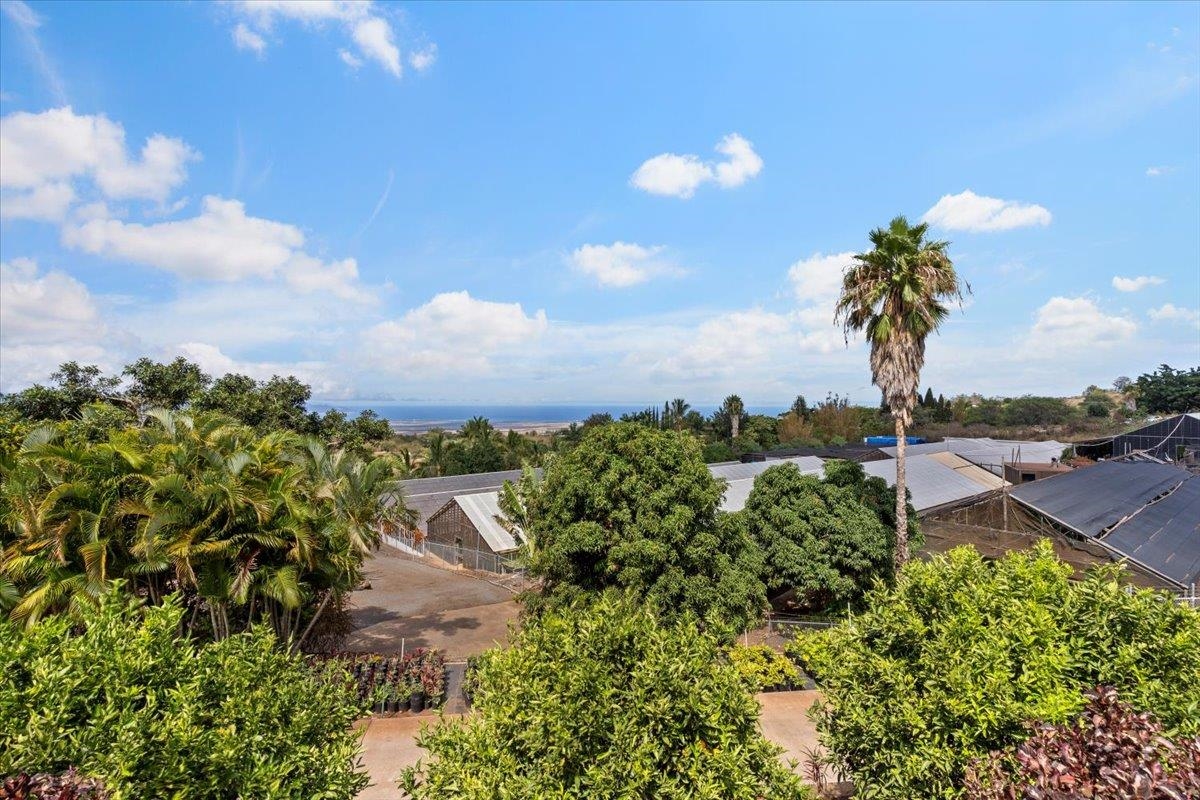 248 Piliwale Road Kula, HI 96790 - Photo 10 of 22 a view of a city