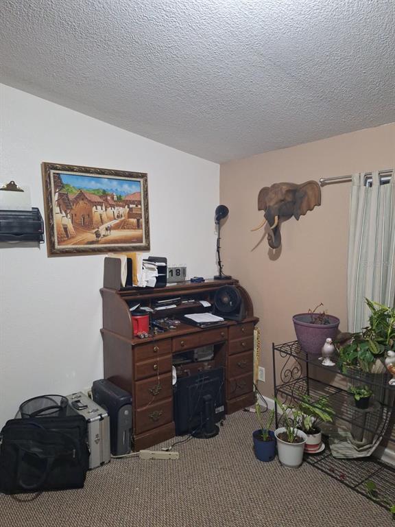 14899 Southwest 92nd Way Lake Butler, FL 32054 - Photo 20 of 39 a room with furniture and a potted plant