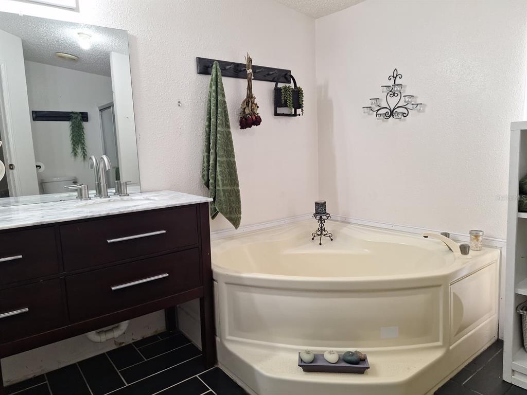 14899 Southwest 92nd Way Lake Butler, FL 32054 - Photo 21 of 39 a bath tub sitting in a bathroom and sink