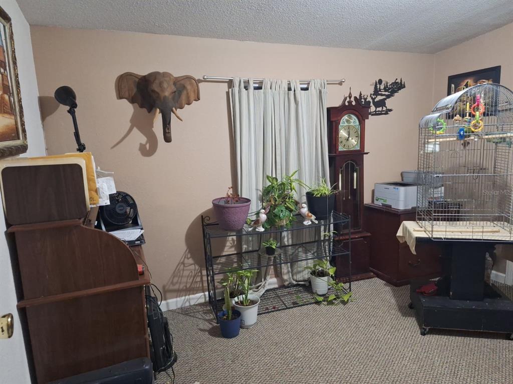 14899 Southwest 92nd Way Lake Butler, FL 32054 - Photo 22 of 39 a room with furniture and a potted plant