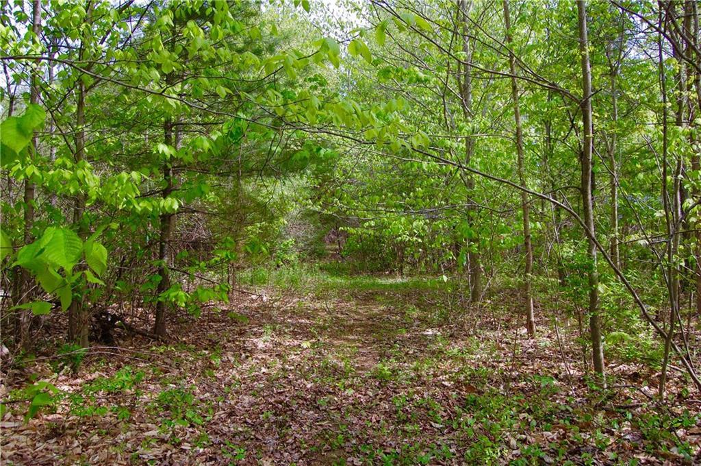 0 Field (map U2 Road Kents Hill, ME 04349 - Photo 6 of 22 Surround yourself with nature.