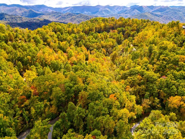 a view of a lush green field with lots of bushes