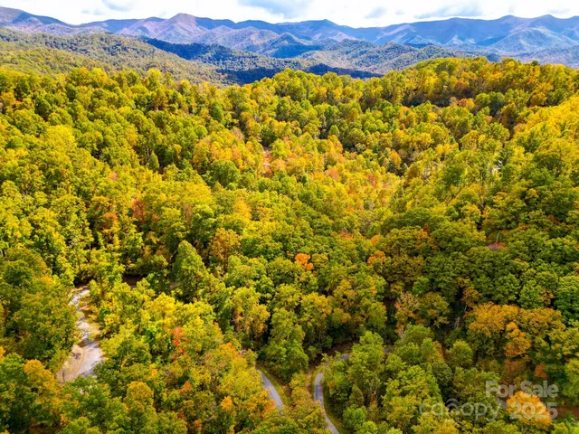 a view of a pathway both side of yard
