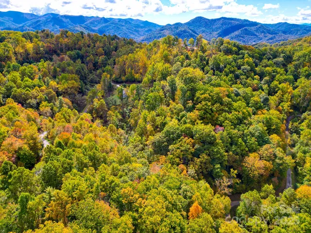 a view of a yard with large trees