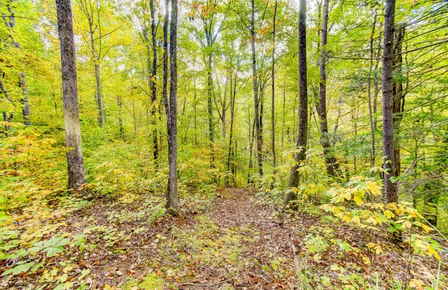 a view of a pathway both side of yard