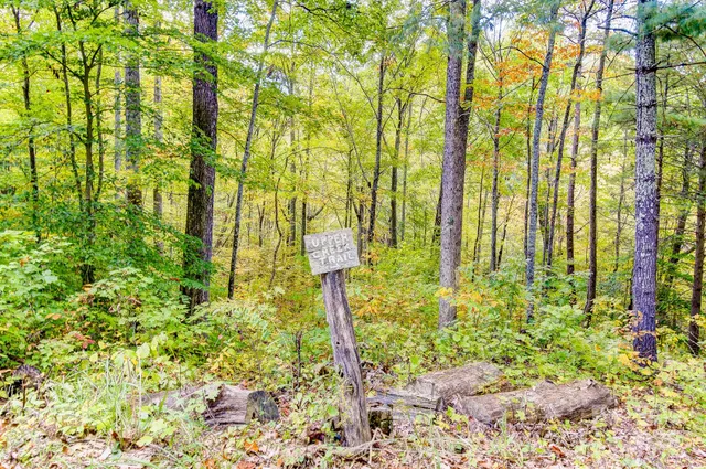 a view of a pathway with a yard