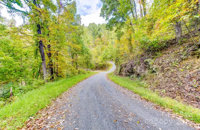 a view of a lush green hillside and houses