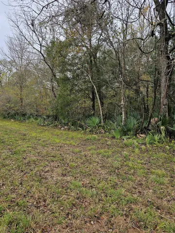a view of outdoor space and yard
