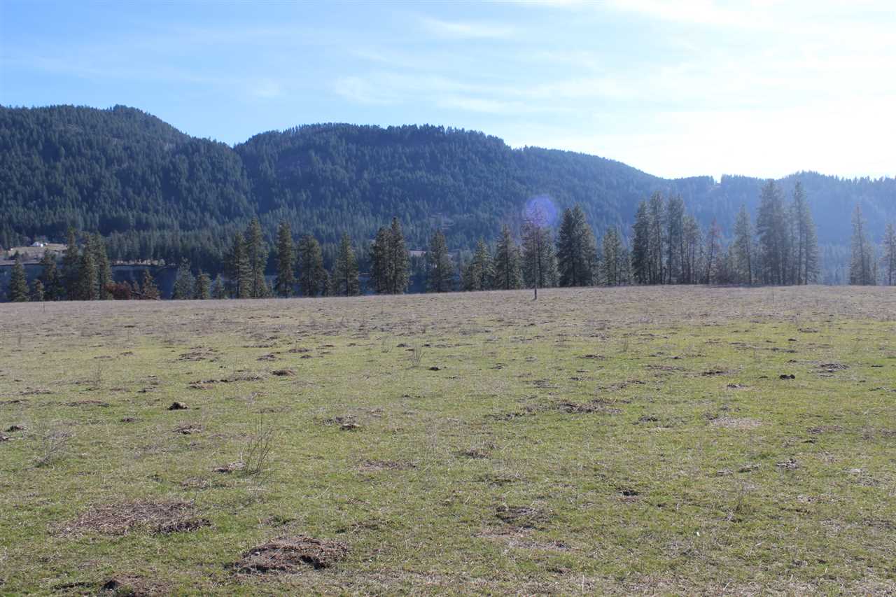 35043 Ray Anderson Road, Unit LOT 8 Kettle Falls, WA 99141 - Photo 2 of 9 Gallery Image 2