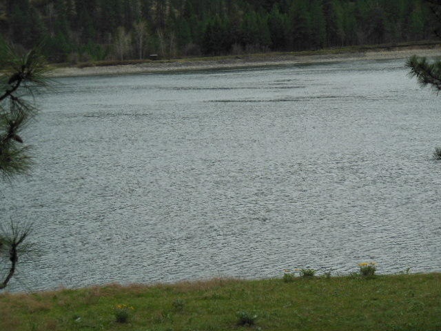 35043 Ray Anderson Road, Unit LOT 8 Kettle Falls, WA 99141 - Photo 4 of 9 Gallery Image 4