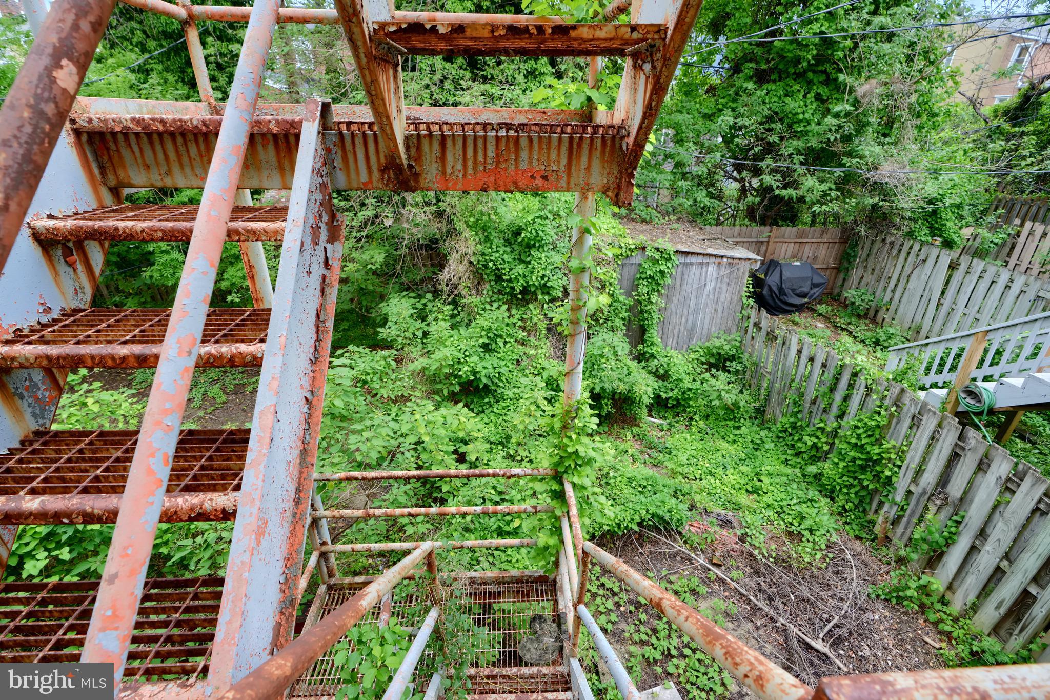 116 Callender Street Baltimore, MD 21201 - Photo 32 of 47 a view of a backyard with plants