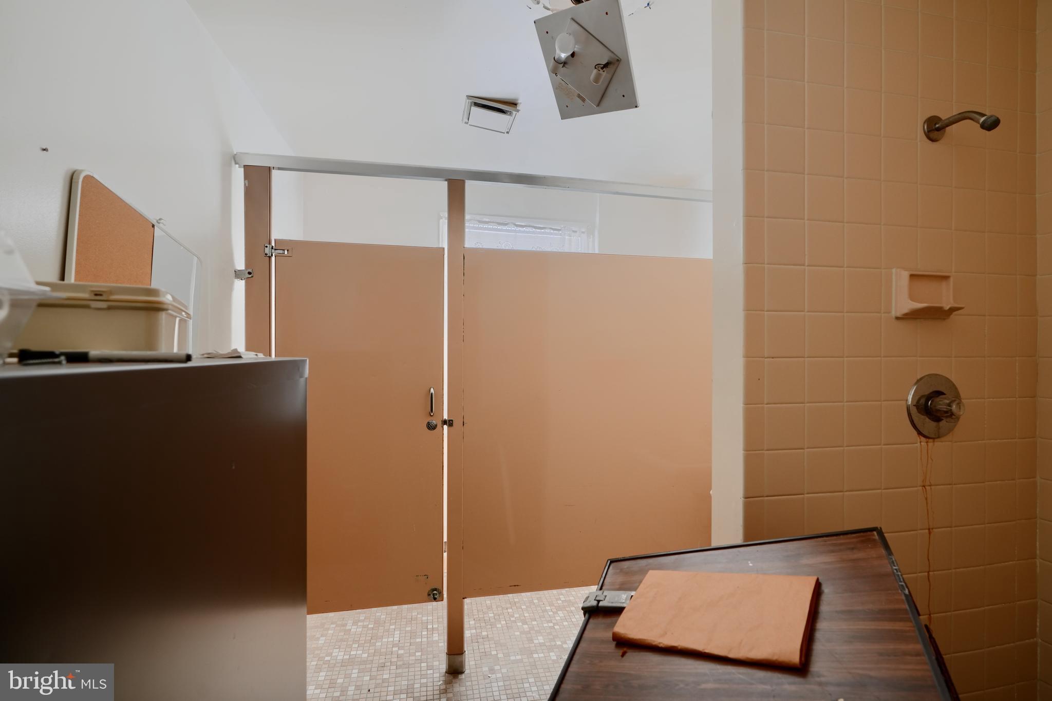 116 Callender Street Baltimore, MD 21201 - Photo 38 of 47 a bathroom with a shower and a sink