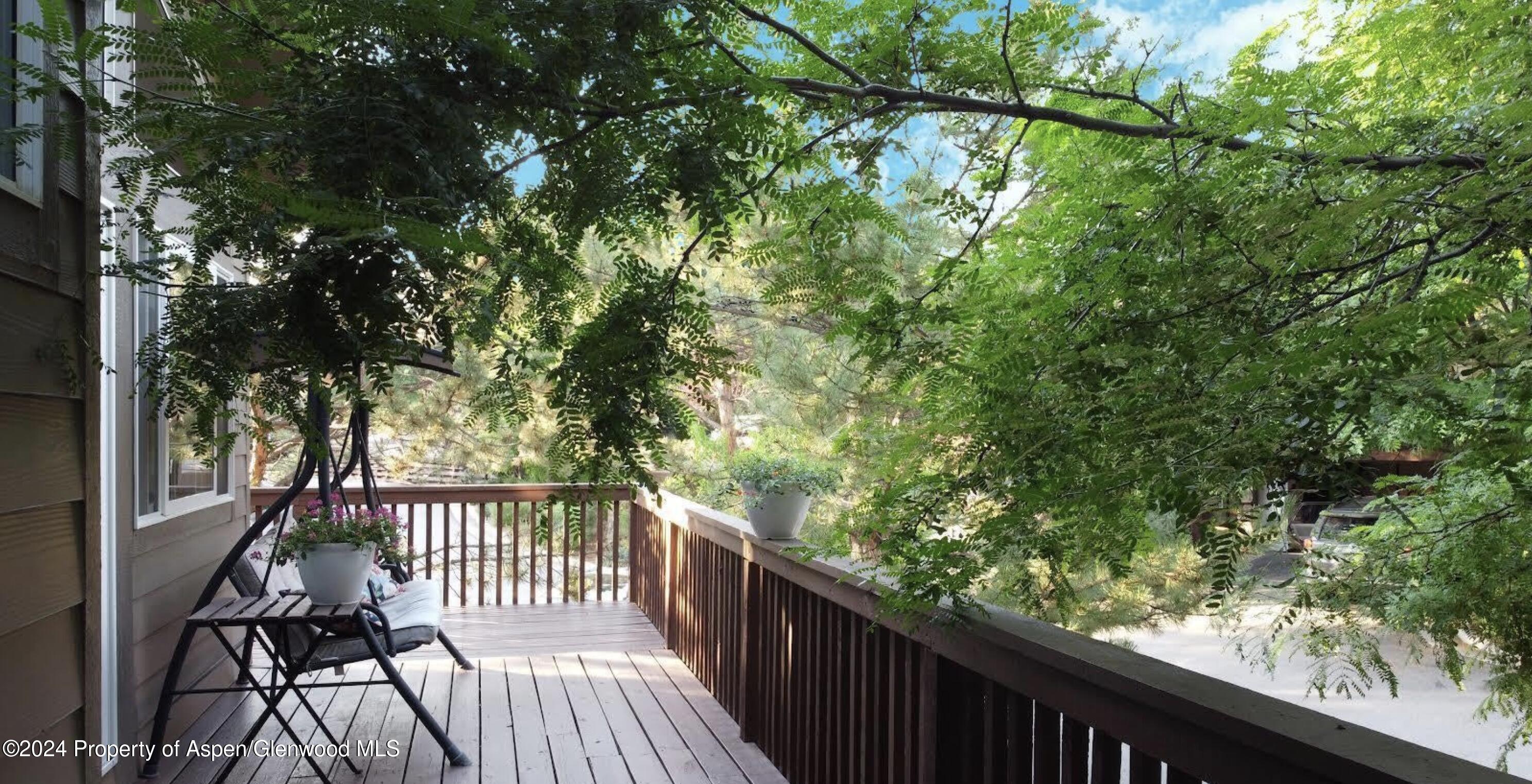 20 Pine Ridge Road Basalt, CO 81621 - Photo 5 of 33 Mature Trees on Deck