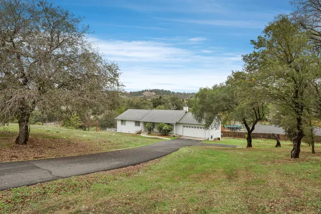 a view of yard with tree s