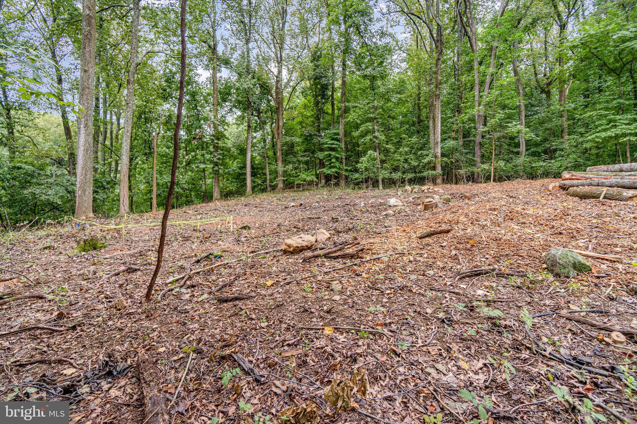 28 Swallow Trail Fairfield, PA 17320 - Photo 11 of 20 a view of a forest filled with trees