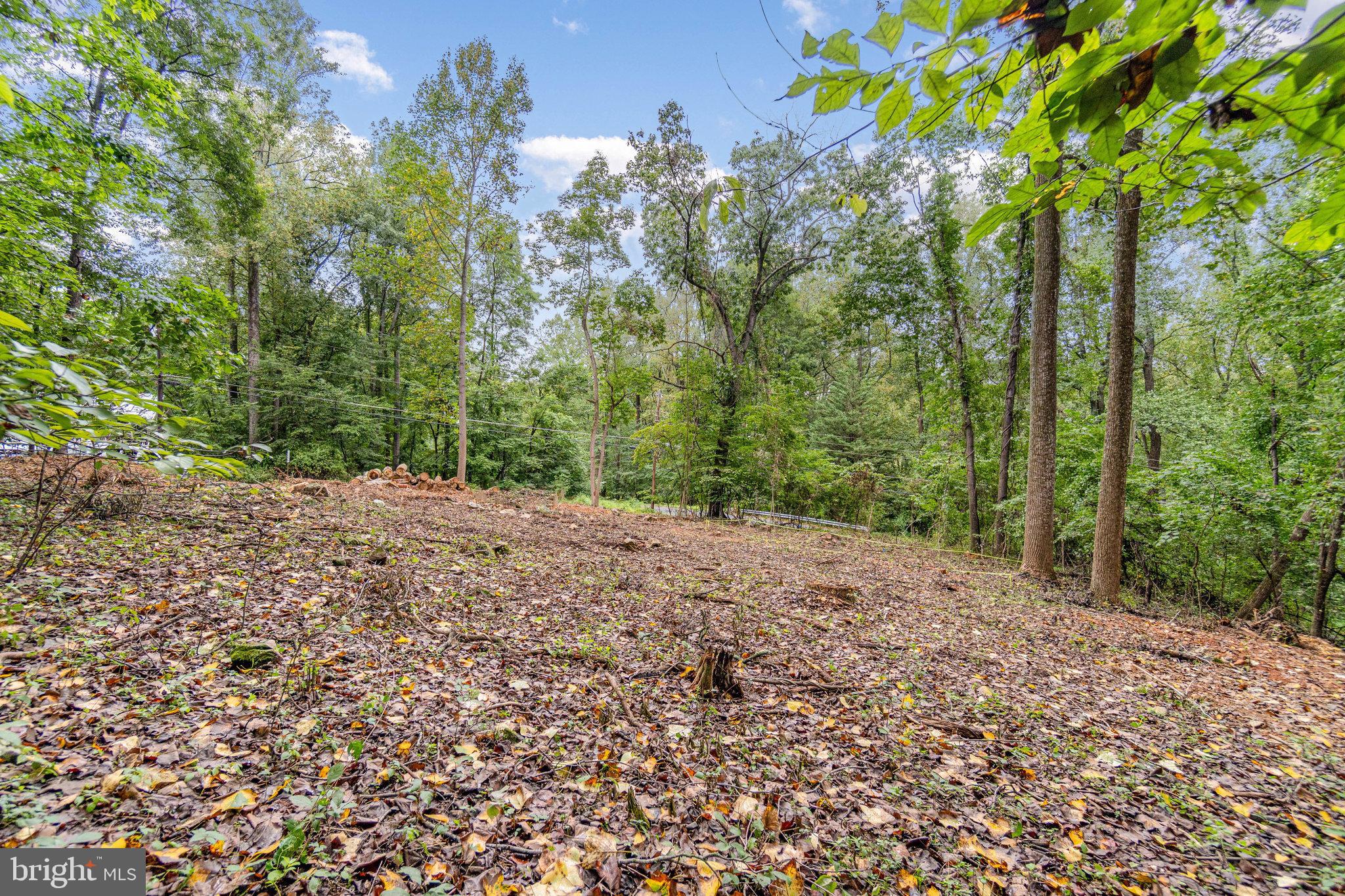 28 Swallow Trail Fairfield, PA 17320 - Photo 14 of 20 a view of a yard with plants and trees