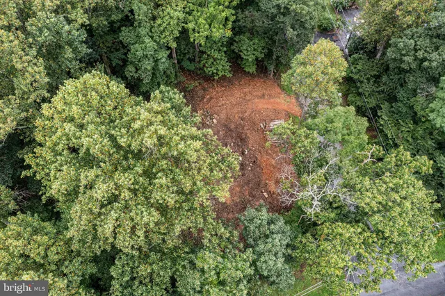 a view of a garden with plants