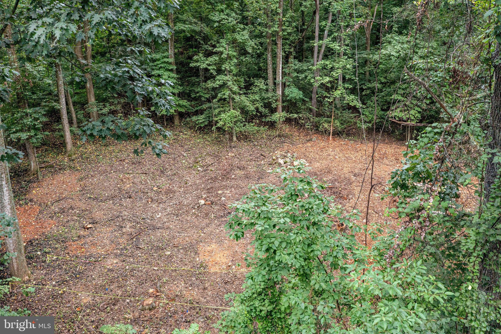 28 Swallow Trail Fairfield, PA 17320 - Photo 8 of 20 a view of a forest with trees