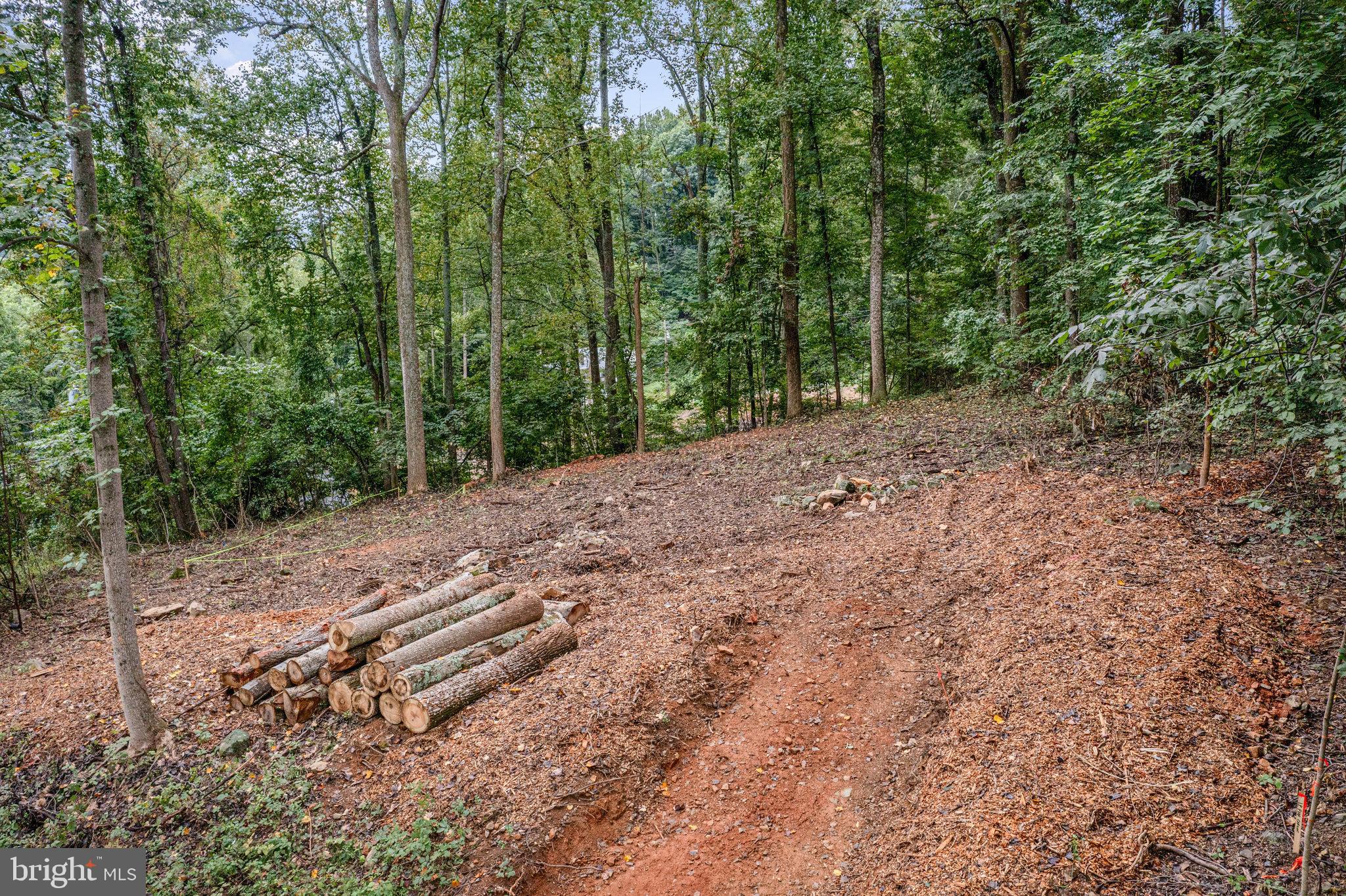 28 Swallow Trail Fairfield, PA 17320 - Photo 9 of 20 a view of a yard with large trees