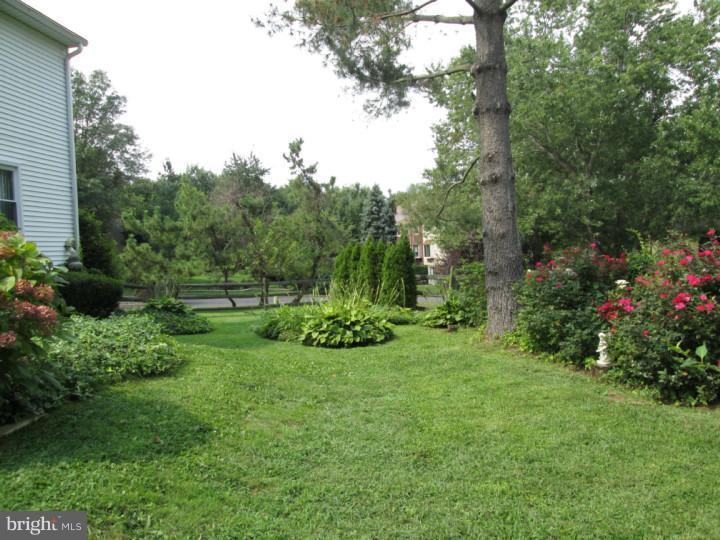 79 Signal Hill Road Holland, PA 18966 - Photo 4 of 25 Back Yard