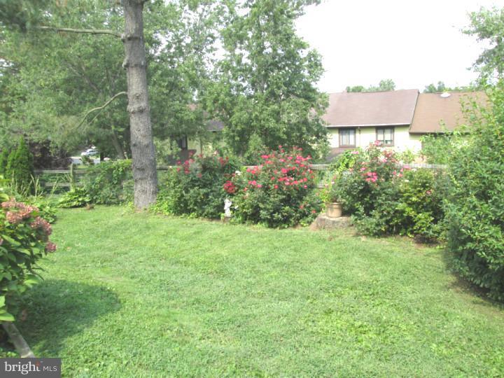 79 Signal Hill Road Holland, PA 18966 - Photo 6 of 25 Back Yard