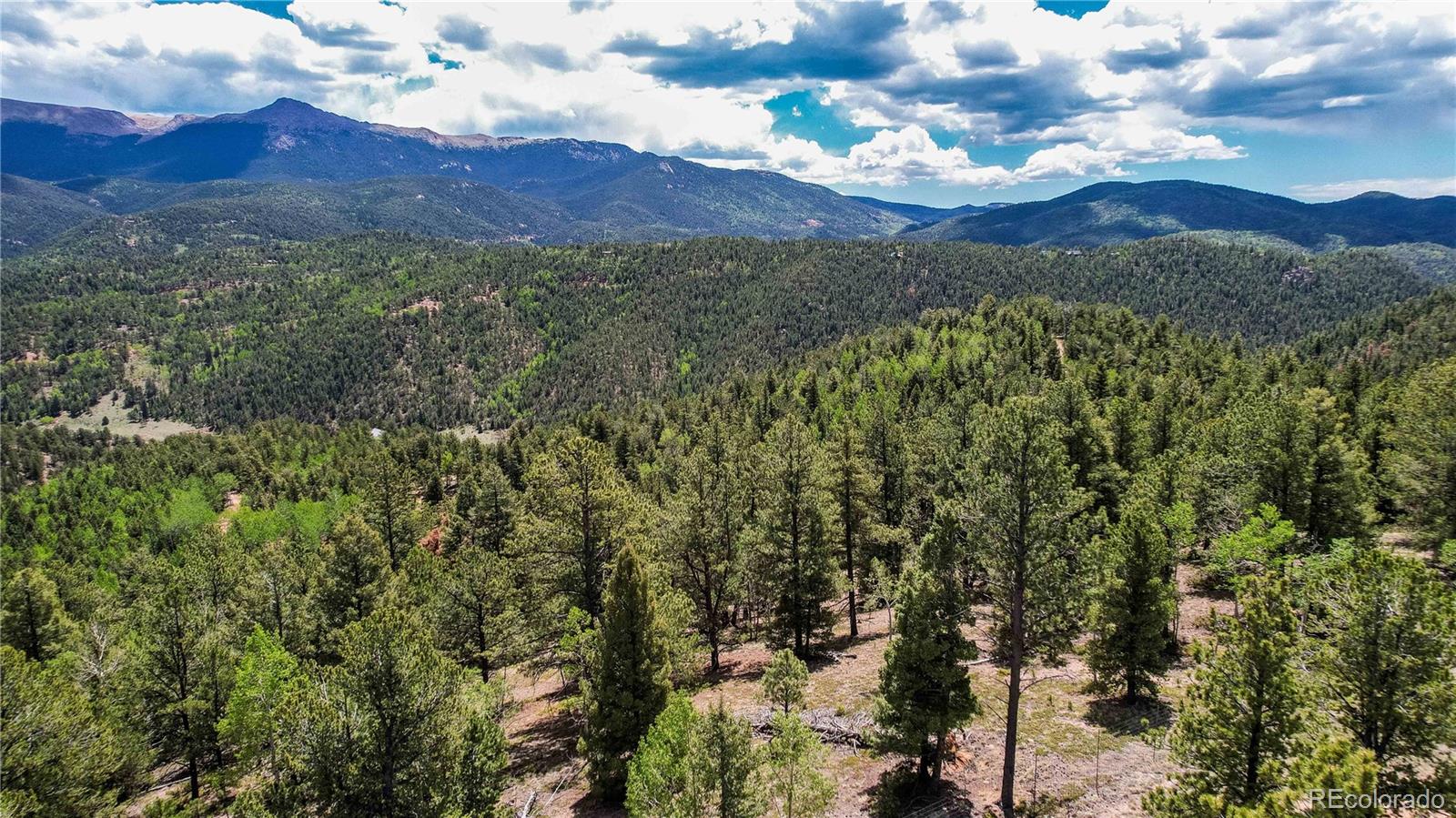59 Robin Point Divide, CO 80814 - Photo 24 of 30 a view of mountain with outdoor space