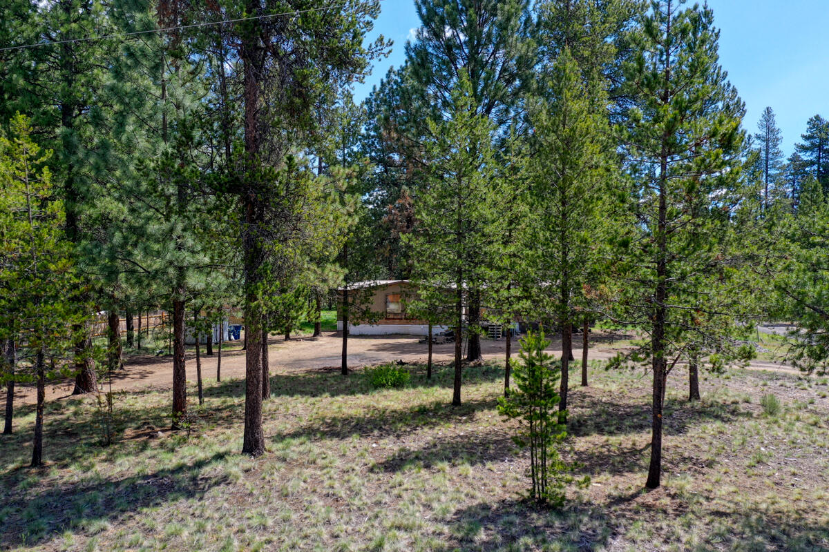 55900 Blue Eagle Rd Bend Bend, OR 97707 - Photo 11 of 23 DJI_0812