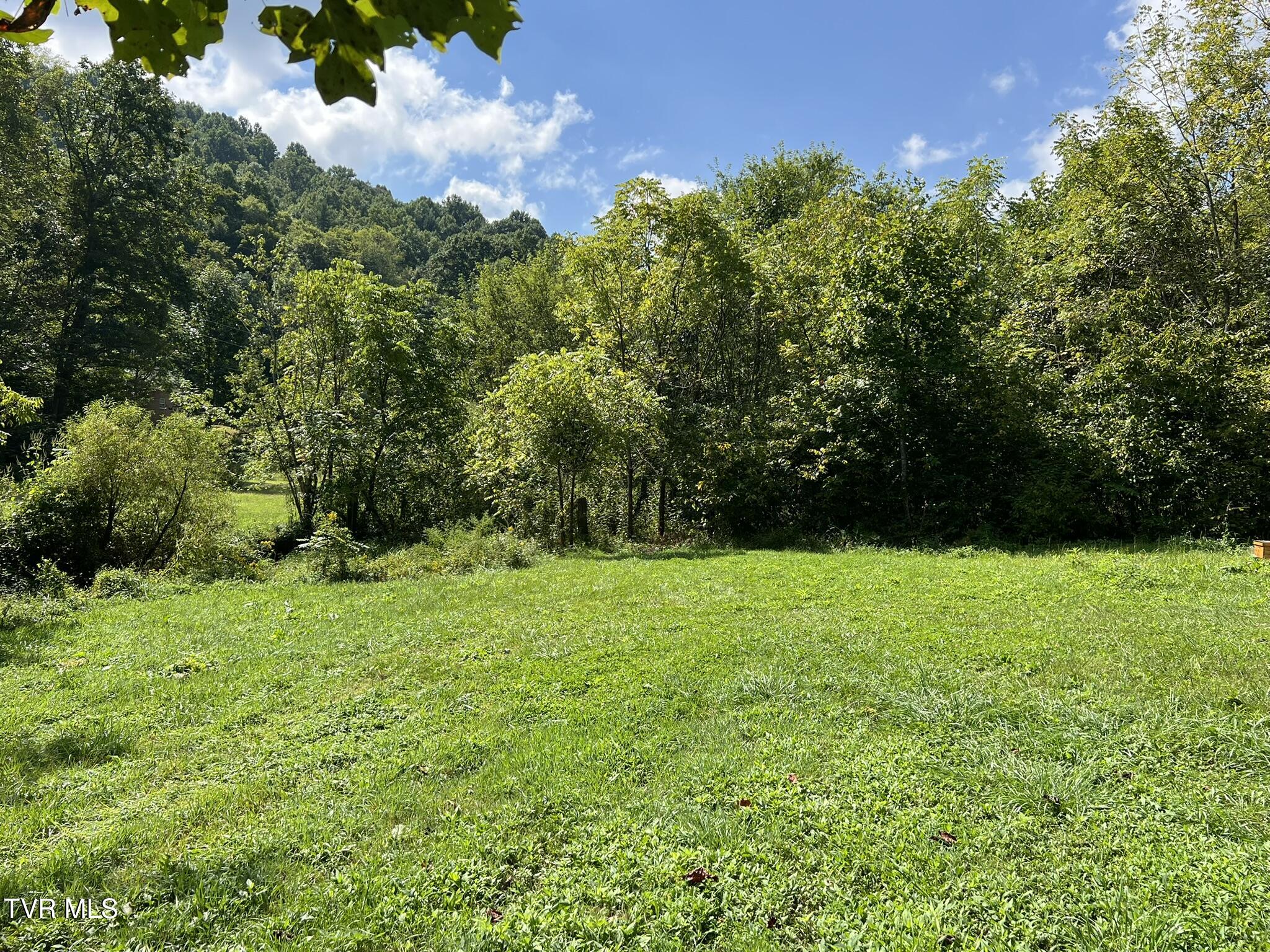 Tbd Simerly Creek Road Unicoi, TN 37692 - Photo 16 of 26 IMG_2746