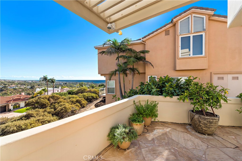 6 Marana San Clemente, CA 92673 - Photo 39 of 69 a view of a potted plants next to a building