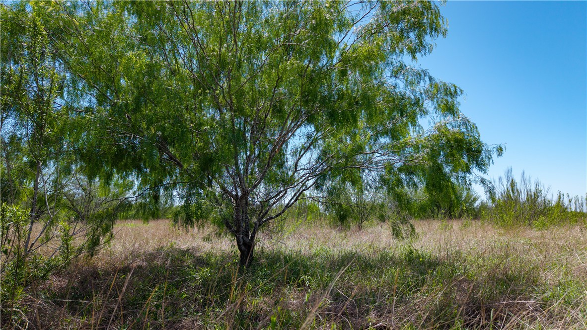 Tr 3 Fm-735 Alice, TX 78332 - Photo 16 of 37 a view of a lake