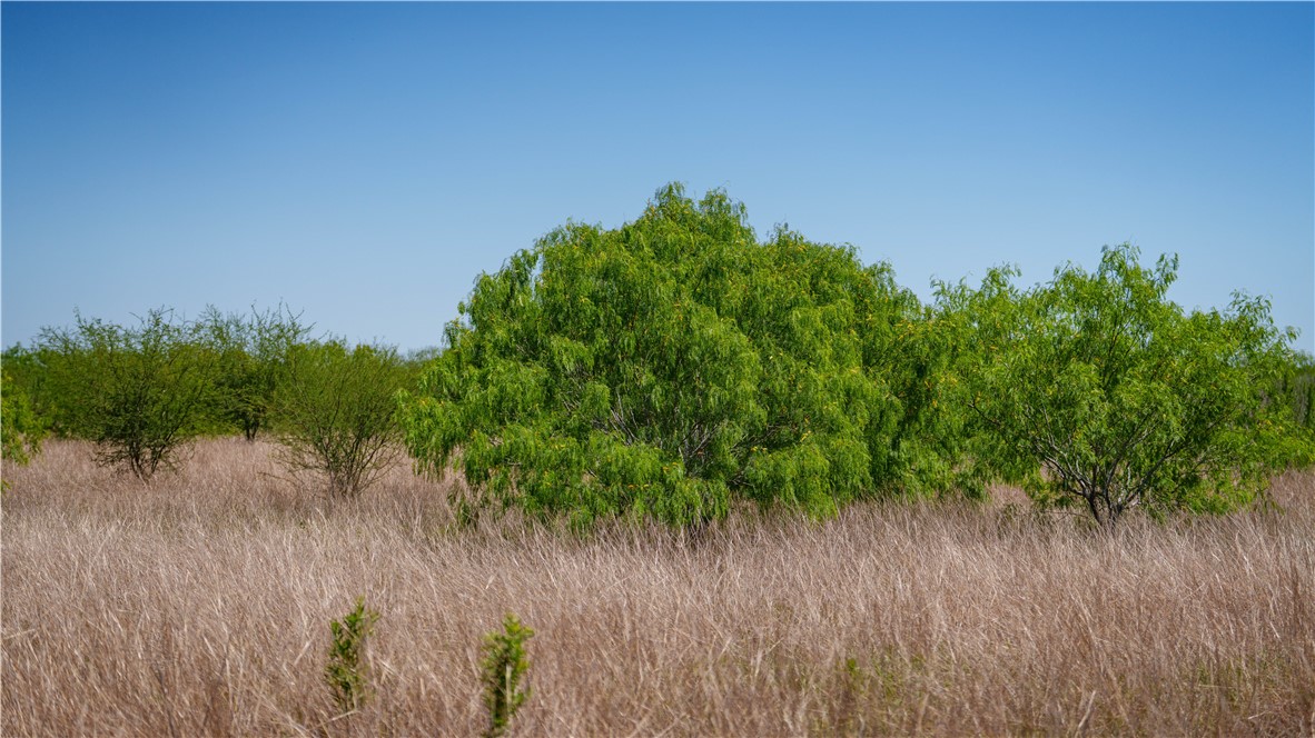 Tr 3 Fm-735 Alice, TX 78332 - Photo 25 of 37 a view of a lake