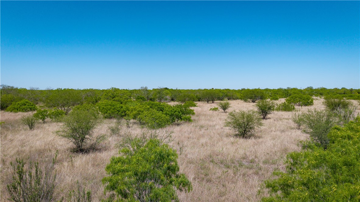 Tr 3 Fm-735 Alice, TX 78332 - Photo 10 of 37 a view of a lake with mountain in the back