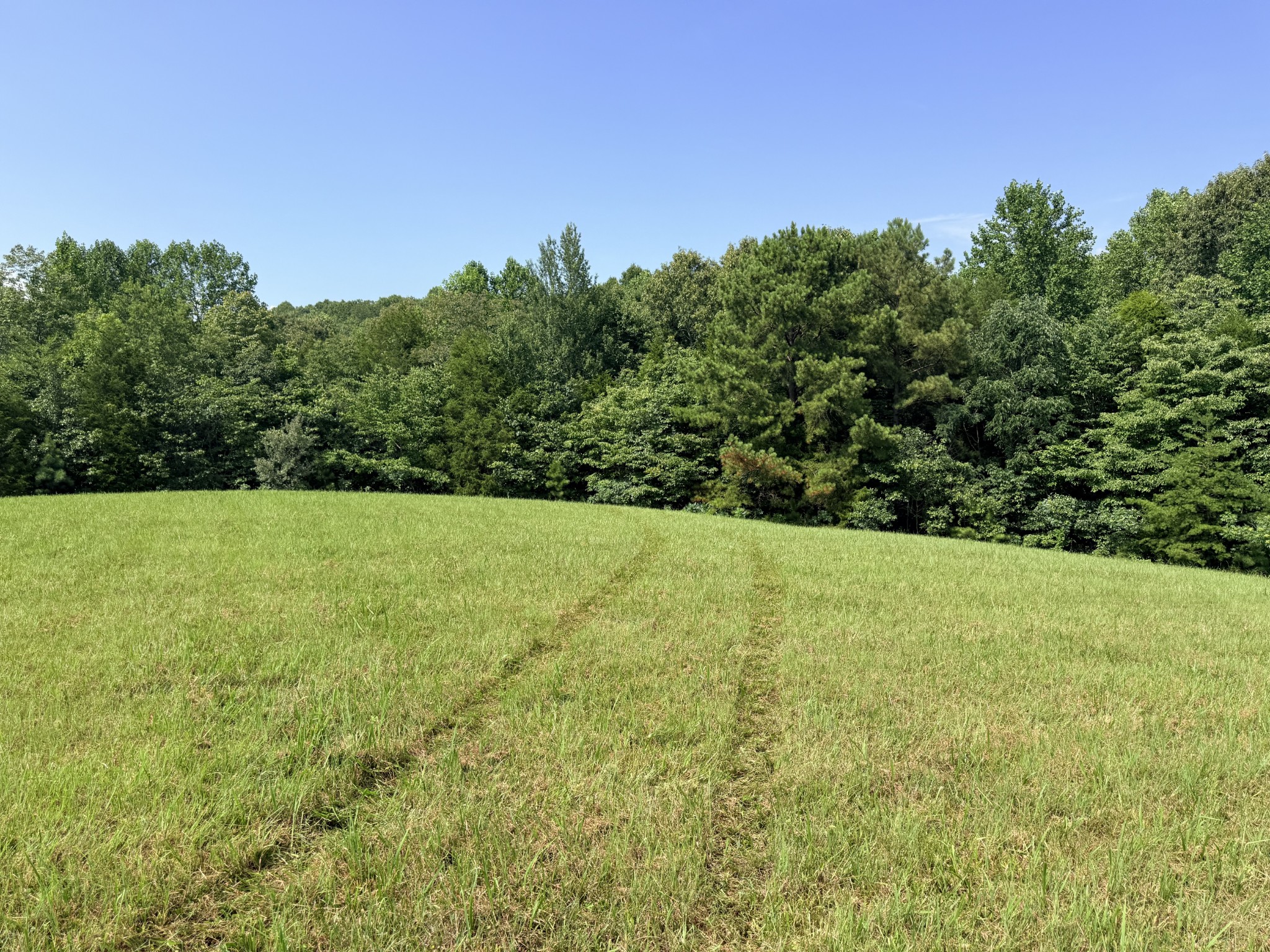 0 Ghea Normandy, TN 37360 - Photo 44 of 46