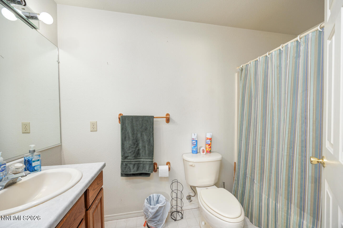 2100 Birch Lane Fallon, NV 89406 - Photo 9 of 27 a bathroom with a sink a toilet and shower curtain